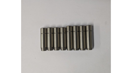 Valve guide set (Inlet and Exhaust)