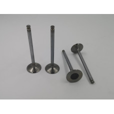 Inlet valves for 1725