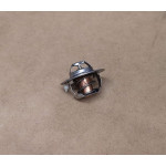 Thermostat (74deg) 